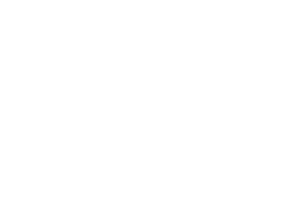 TOPFACE