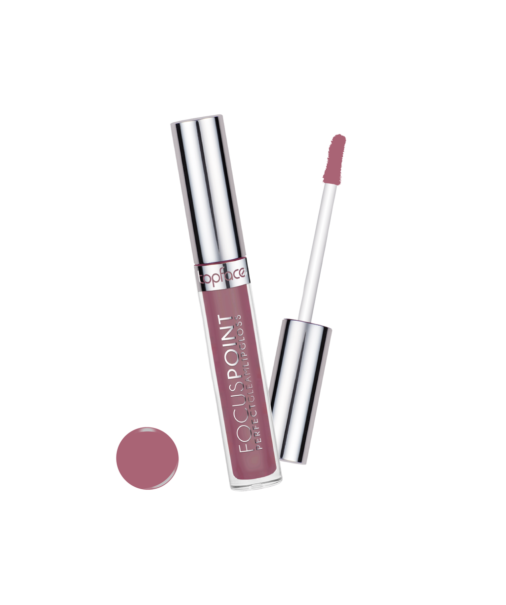 Perfect Gleam Lipgloss