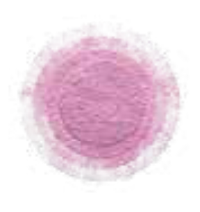 PROHD FILTER FINISH LOOSE POWDER